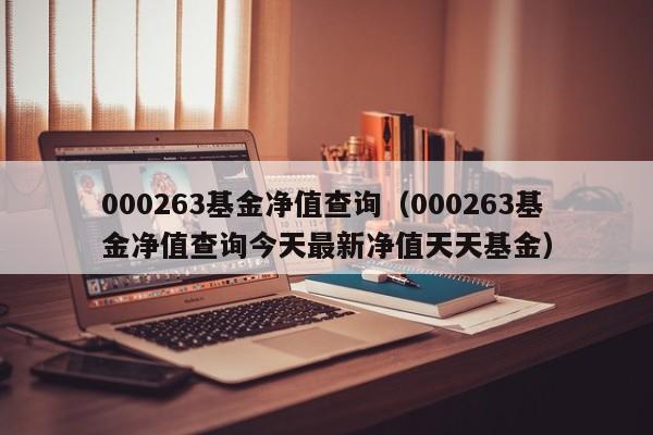 000263基金净值查询（000263基金净值查询今天最新净值天天基金）