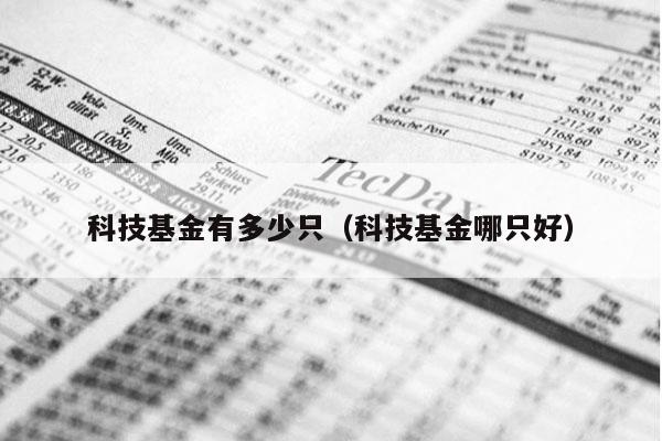 科技基金有多少只（科技基金哪只好）