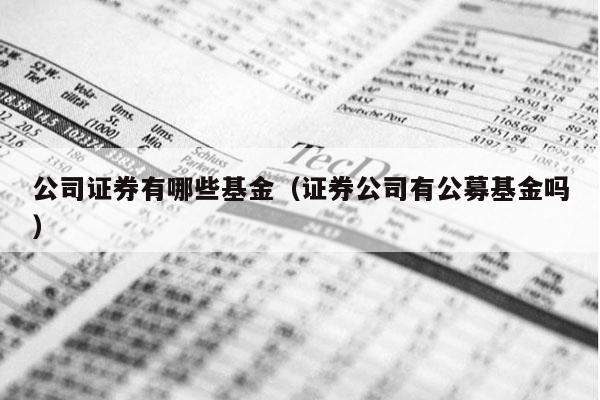 公司证券有哪些基金（证券公司有公募基金吗）