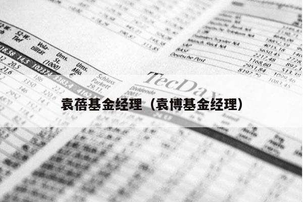 袁蓓基金经理（袁博基金经理）