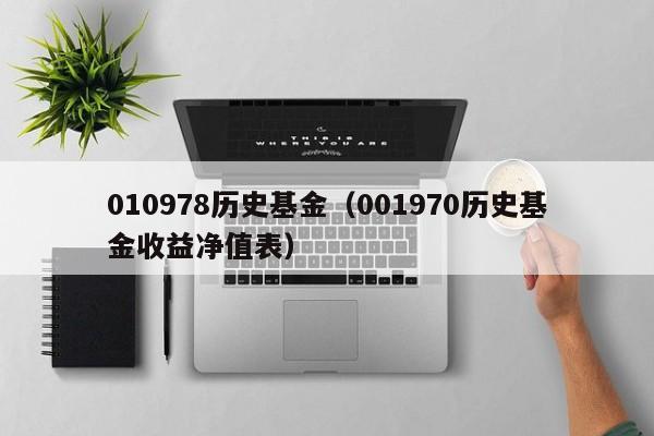 010978历史基金（001970历史基金收益净值表）
