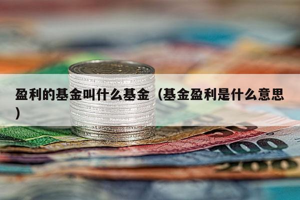 盈利的基金叫什么基金（基金盈利是什么意思）