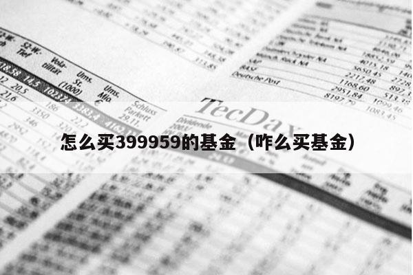 怎么买399959的基金（咋么买基金）