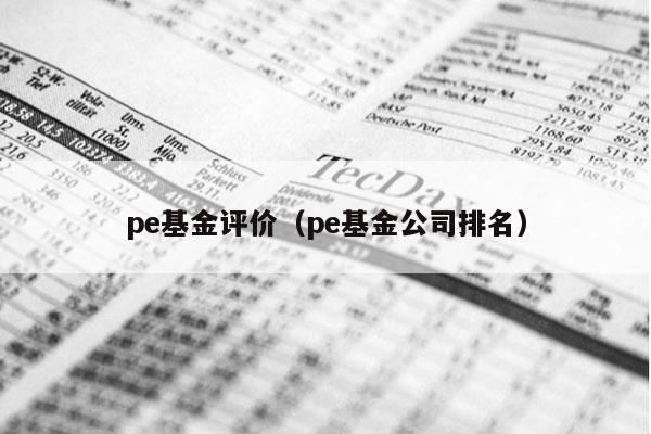 pe基金评价（pe基金公司排名）