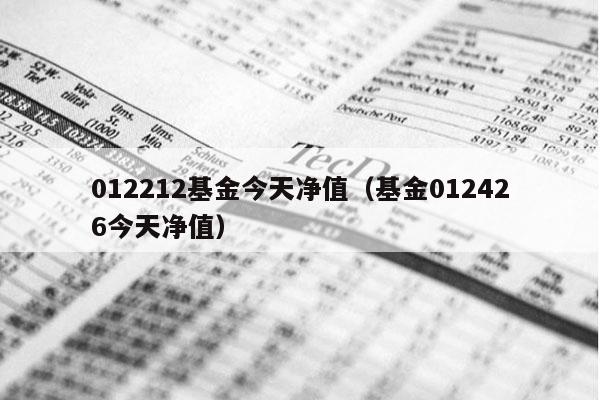 012212基金今天净值（基金012426今天净值）