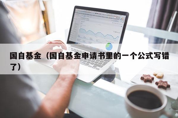 国自基金（国自基金申请书里的一个公式写错了）