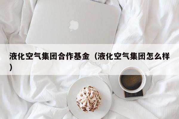 液化空气集团合作基金（液化空气集团怎么样）