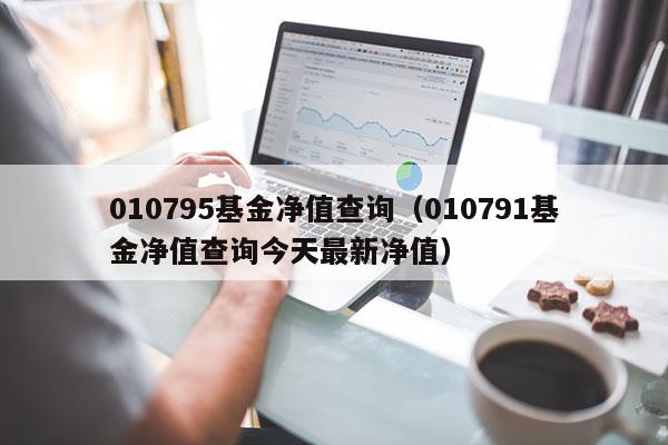010795基金净值查询（010791基金净值查询今天最新净值）