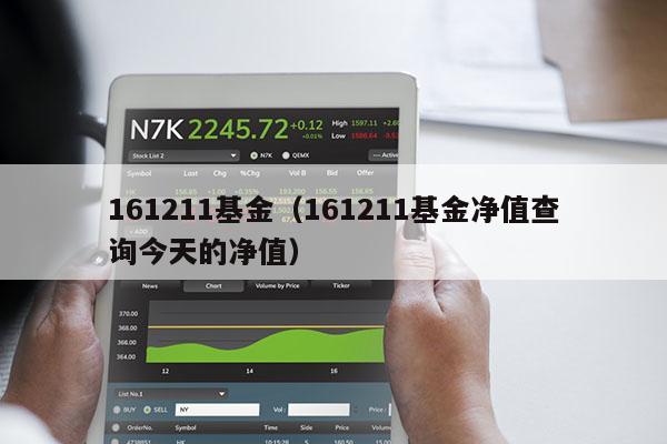 161211基金（161211基金净值查询今天的净值）