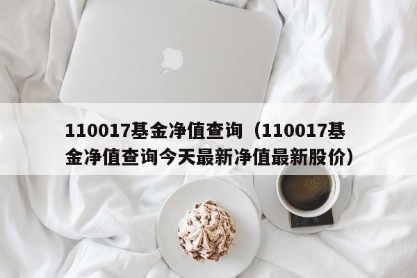 110017基金净值查询（110017基金净值查询今天最新净值最新股价）