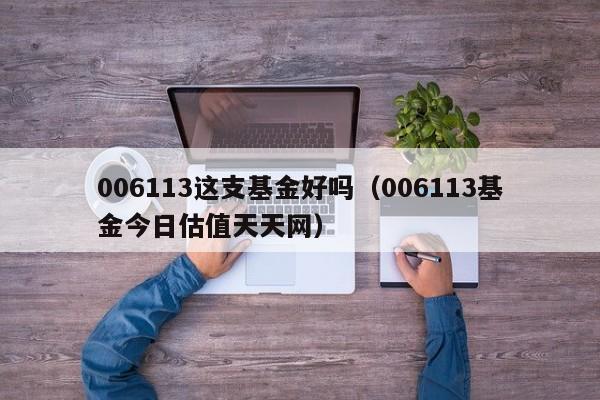 006113这支基金好吗（006113基金今日估值天天网）