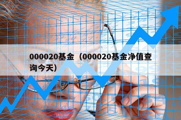 000020基金（000020基金净值查询今天）