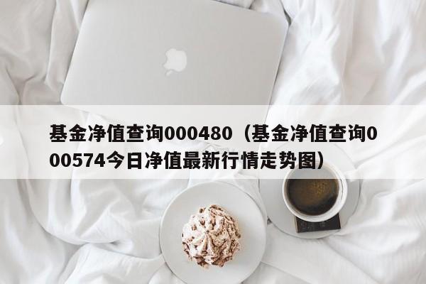 基金净值查询000480（基金净值查询000574今日净值最新行情走势图）
