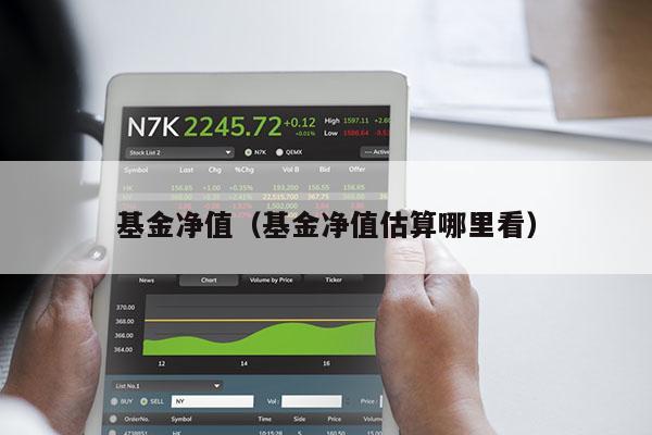 基金净值（基金净值估算哪里看）