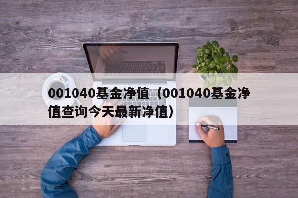 001040基金净值（001040基金净值查询今天最新净值）