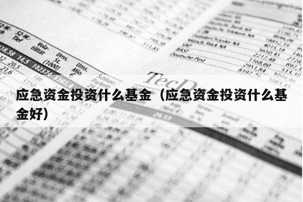应急资金投资什么基金（应急资金投资什么基金好）