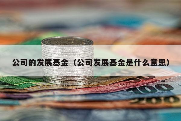 公司的发展基金（公司发展基金是什么意思）