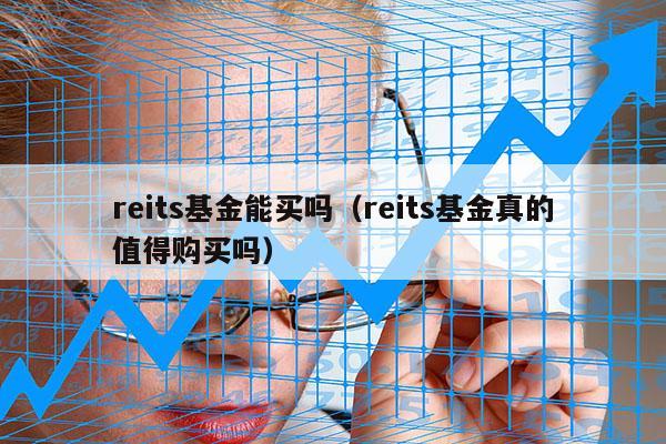 reits基金能买吗（reits基金真的值得购买吗）