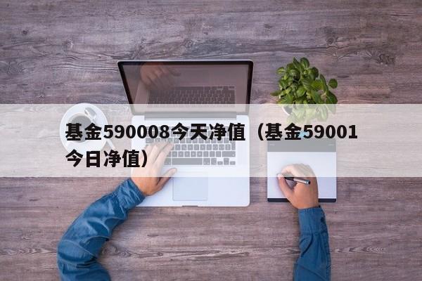 基金590008今天净值（基金59001今日净值）