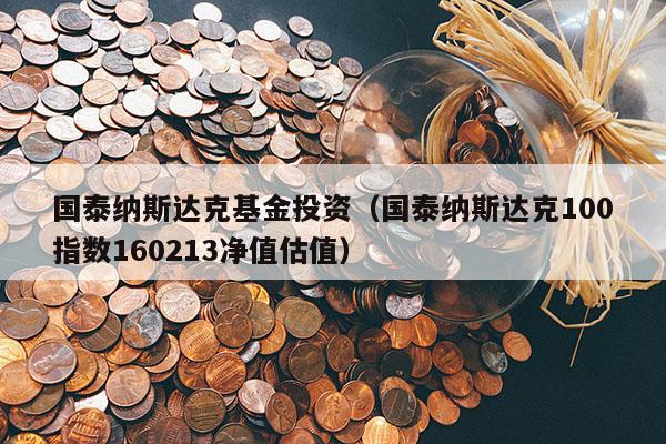 国泰纳斯达克基金投资（国泰纳斯达克100指数160213净值估值）