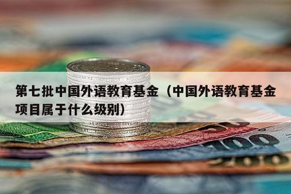 第七批中国外语教育基金（中国外语教育基金项目属于什么级别）