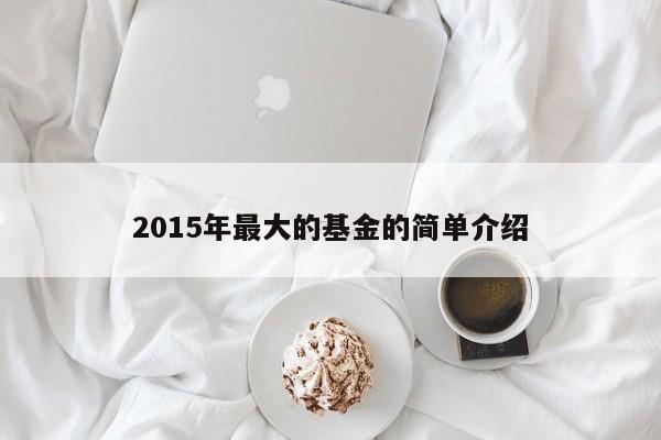 2015年最大的基金的简单介绍