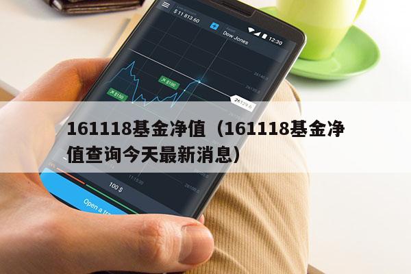 161118基金净值（161118基金净值查询今天最新消息）