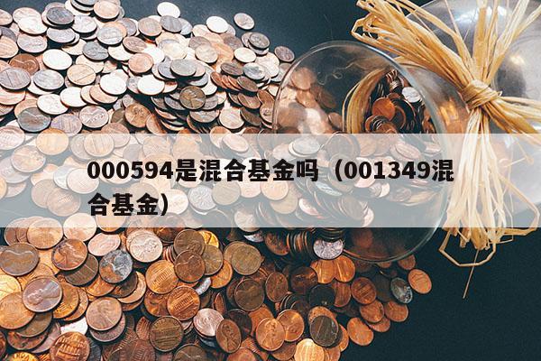 000594是混合基金吗（001349混合基金）
