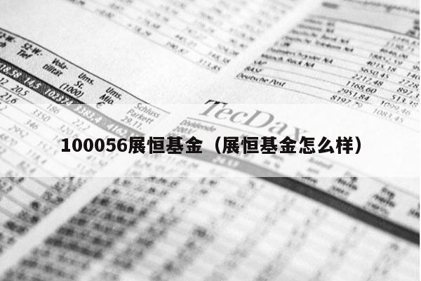 100056展恒基金（展恒基金怎么样）