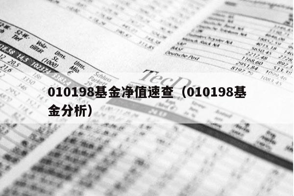 010198基金净值速查（010198基金分析）