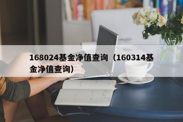 168024基金净值查询（160314基金净值查询）