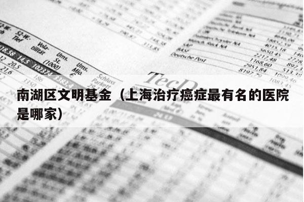 南湖区文明基金（上海治疗癌症最有名的医院是哪家）
