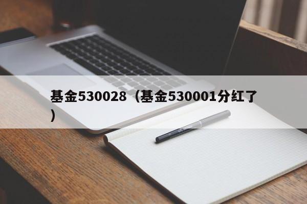 基金530028（基金530001分红了）