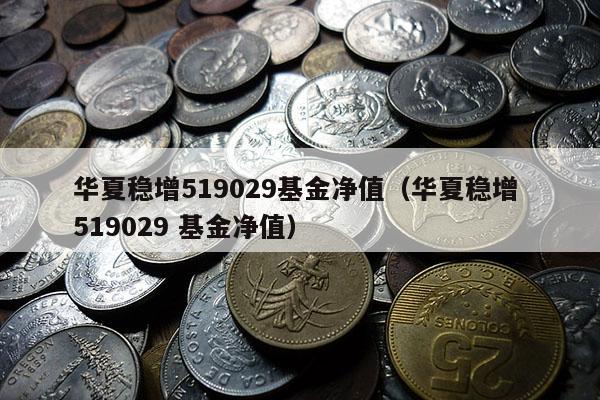 华夏稳增519029基金净值（华夏稳增 519029 基金净值）