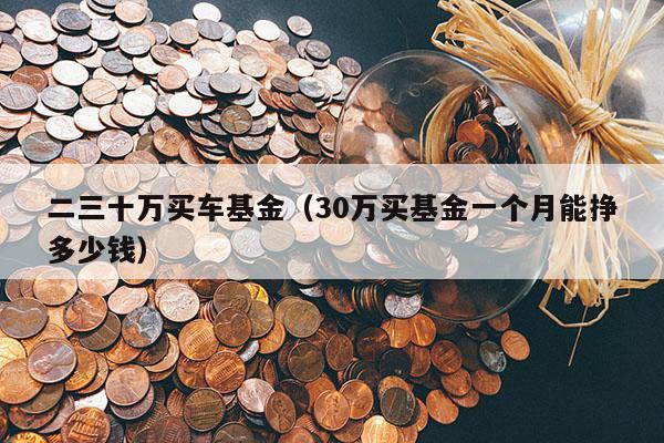 二三十万买车基金（30万买基金一个月能挣多少钱）