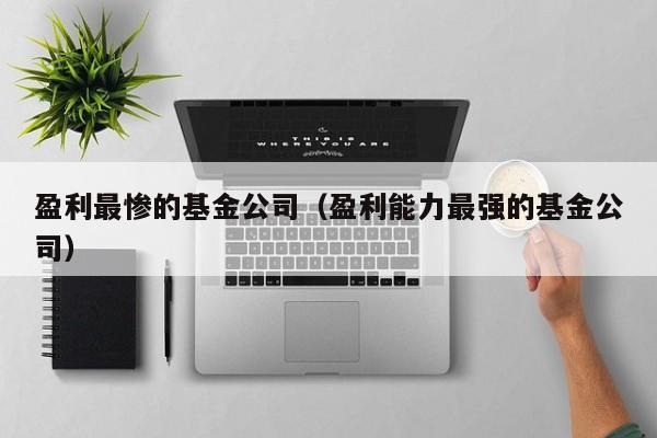盈利最惨的基金公司（盈利能力最强的基金公司）