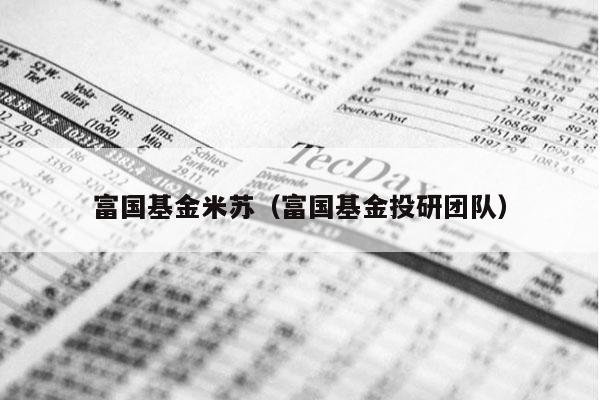富国基金米苏（富国基金投研团队）