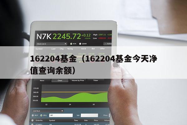 162204基金（162204基金今天净值查询余额）