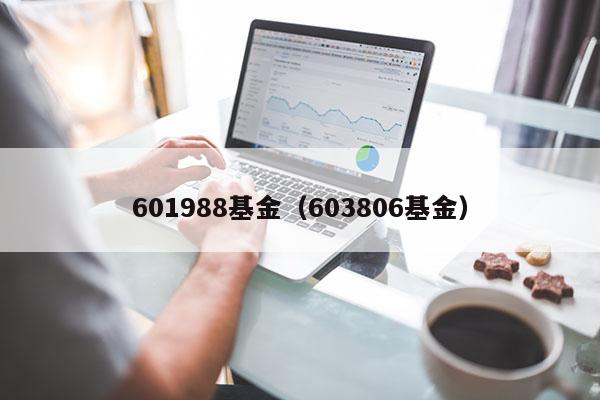 601988基金（603806基金）