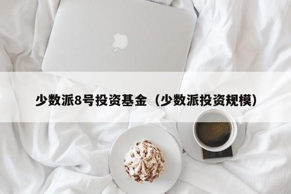 少数派8号投资基金（少数派投资规模）
