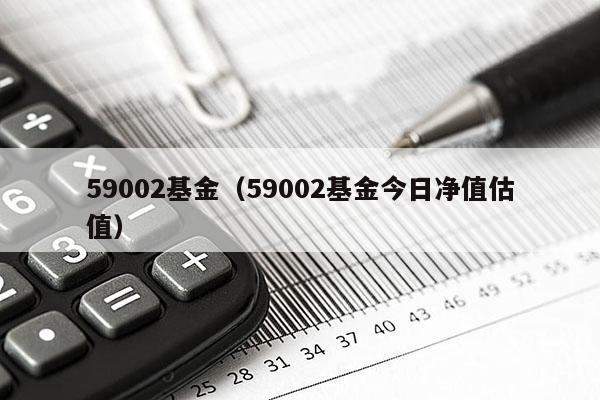 59002基金（59002基金今日净值估值）