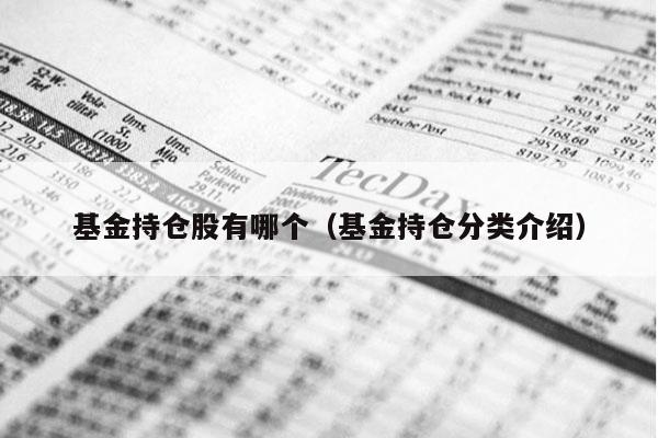 基金持仓股有哪个（基金持仓分类介绍）