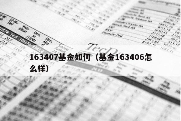 163407基金如何（基金163406怎么样）