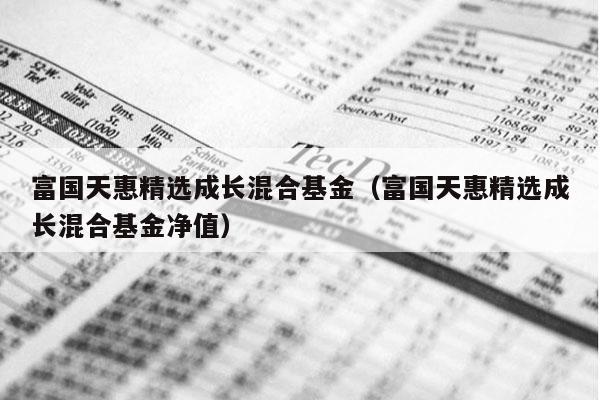 富国天惠精选成长混合基金（富国天惠精选成长混合基金净值）