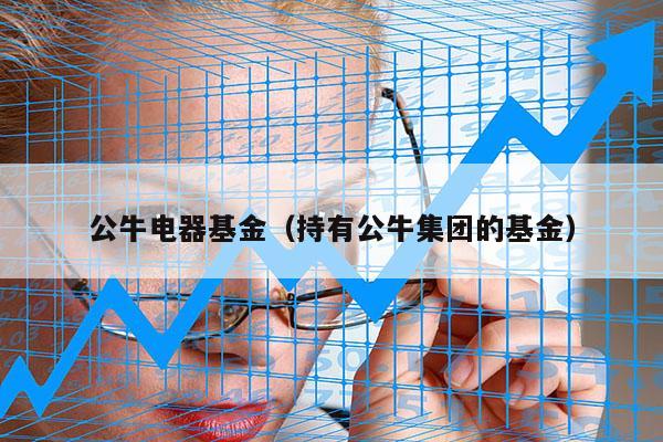 公牛电器基金（持有公牛集团的基金）