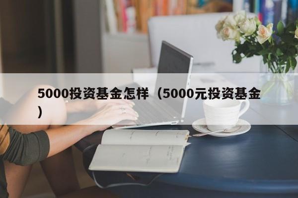 5000投资基金怎样（5000元投资基金）