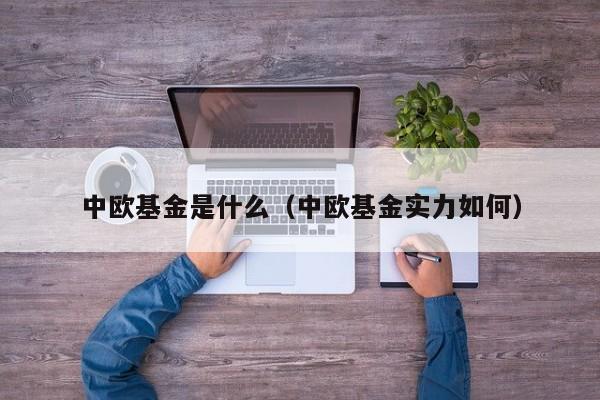 中欧基金是什么（中欧基金实力如何）