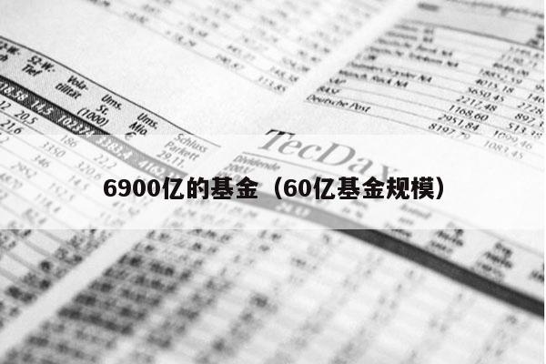6900亿的基金（60亿基金规模）