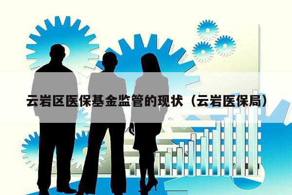 云岩区医保基金监管的现状（云岩医保局）