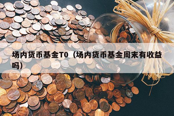 场内货币基金T0（场内货币基金周末有收益吗）